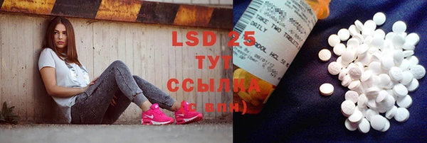 ГАЛЛЮЦИНОГЕННЫЕ ГРИБЫ Алзамай