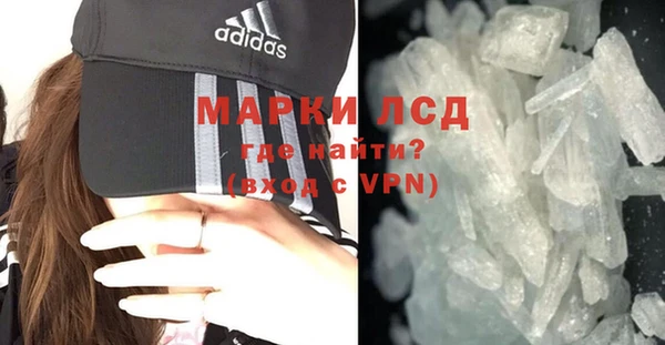 гашик Алексин