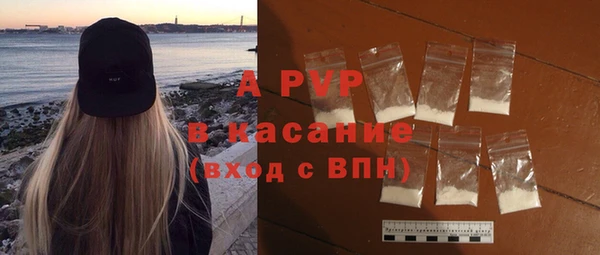 гашик Алексин