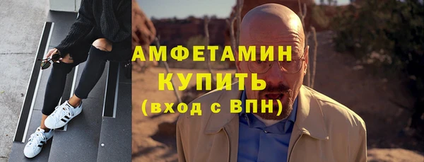 гашик Алексин