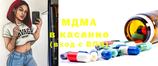 гашик Алексин