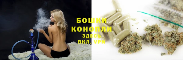 гашик Алексин