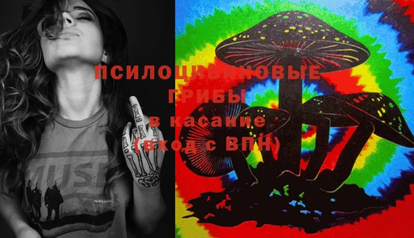 ГАЛЛЮЦИНОГЕННЫЕ ГРИБЫ Алзамай