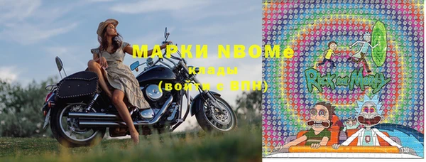 гашик Алексин