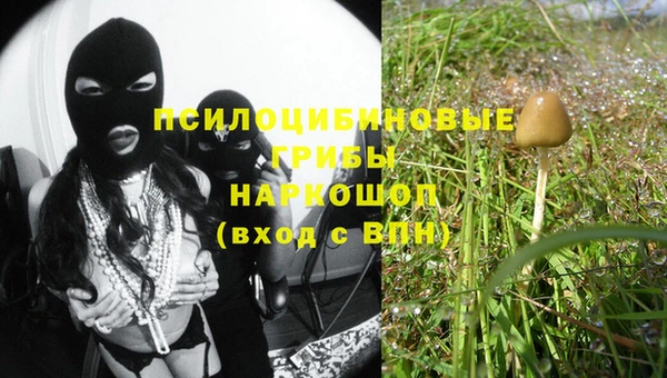ГАЛЛЮЦИНОГЕННЫЕ ГРИБЫ Алзамай