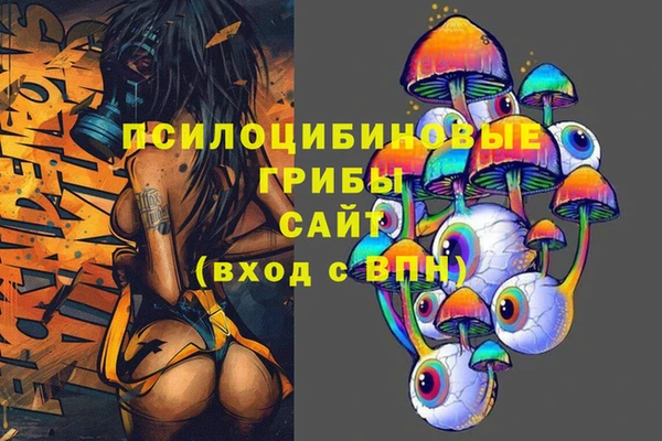 ГАЛЛЮЦИНОГЕННЫЕ ГРИБЫ Алзамай