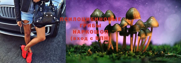 мескалин Пестово