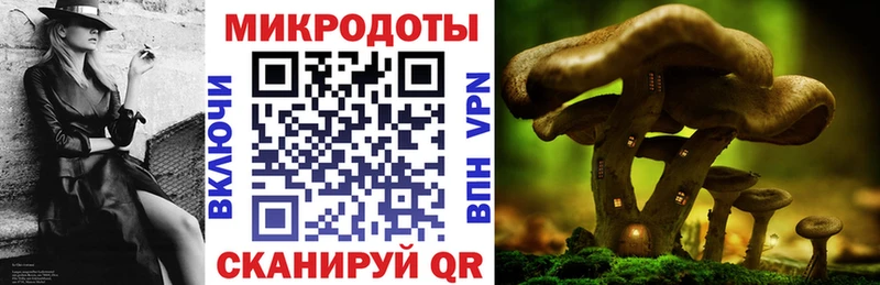 Псилоцибиновые грибы Psilocybine cubensis  Мичуринск 